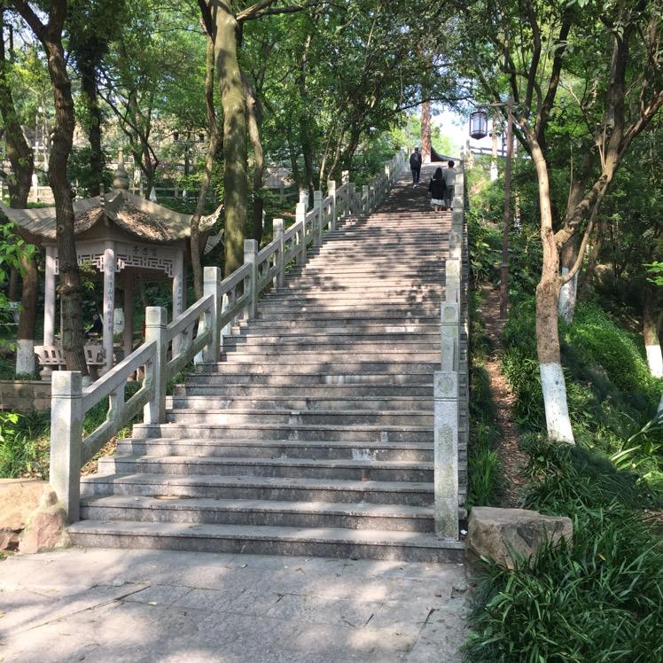 阿东
