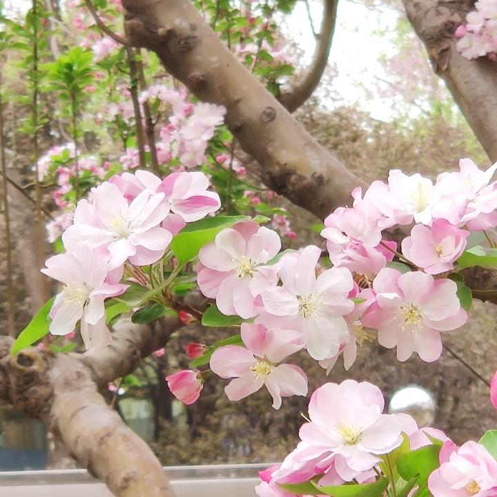 梦想照进来