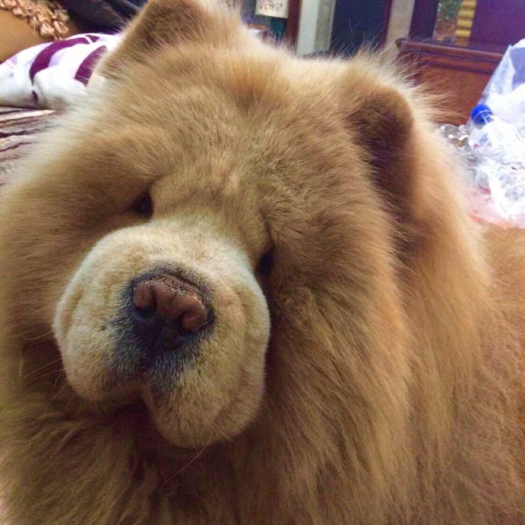 老三哥