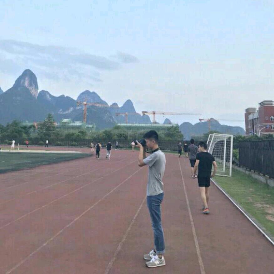 不摇碧莲