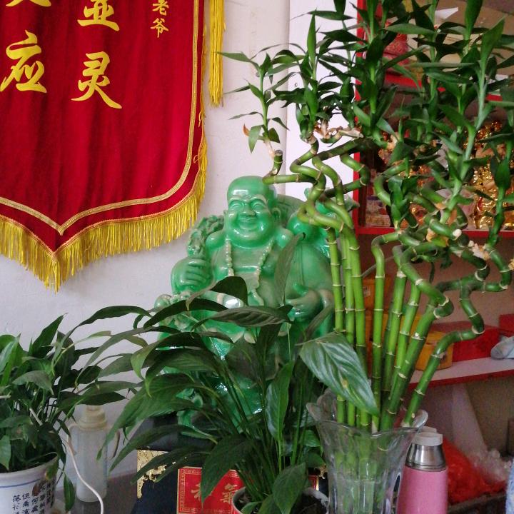 小蜜蜂