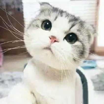 🌈*🌈果果🌈*🌈