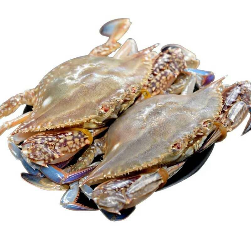 翔轩水产