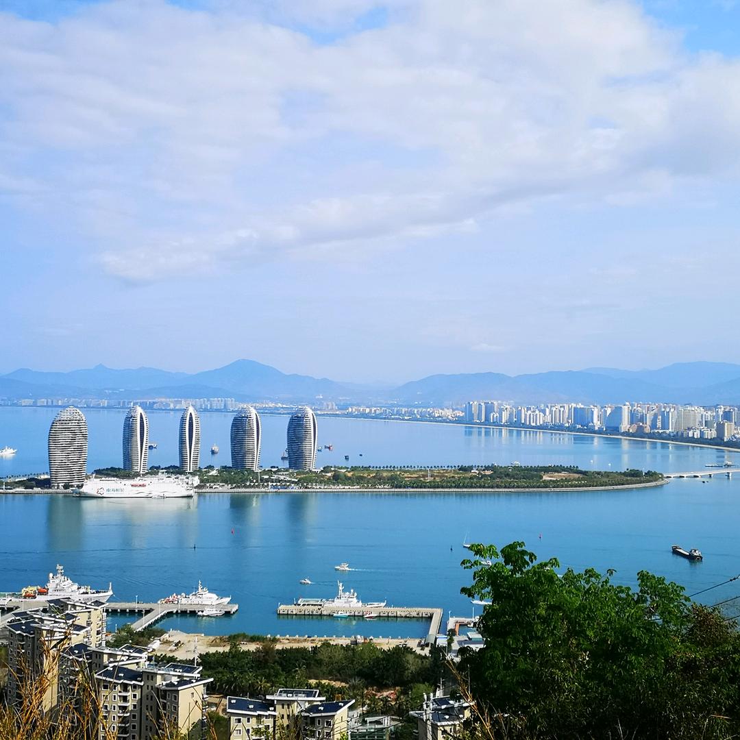 西门纵横