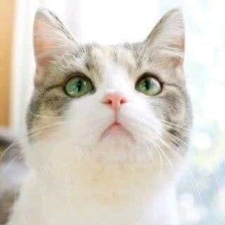 开心最好( ｰ̀εｰ́ )