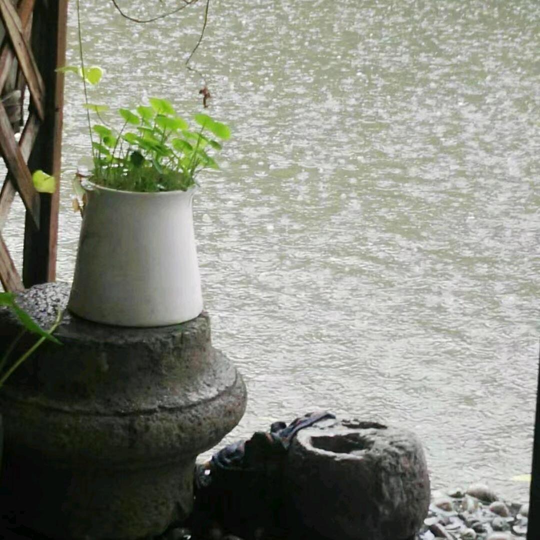 来哥（杭州）