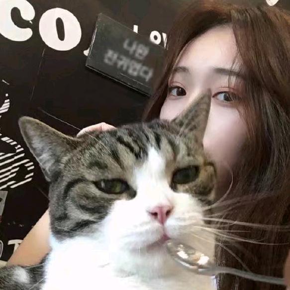 张💋小姐