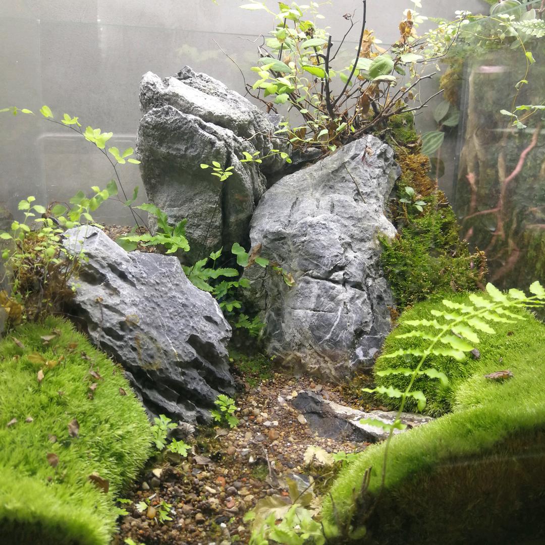 王文恺