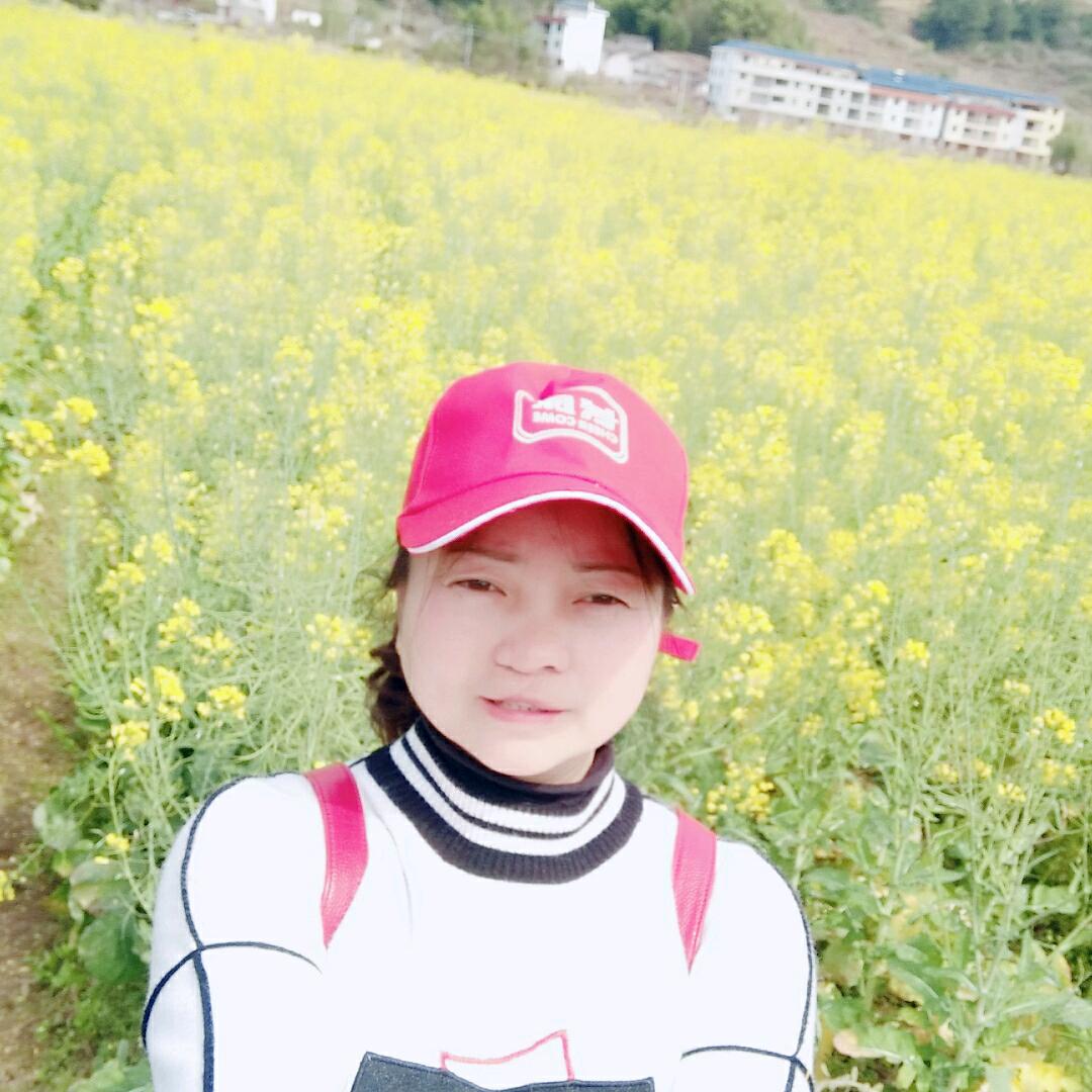 尖峰小舞队（菇独的我）