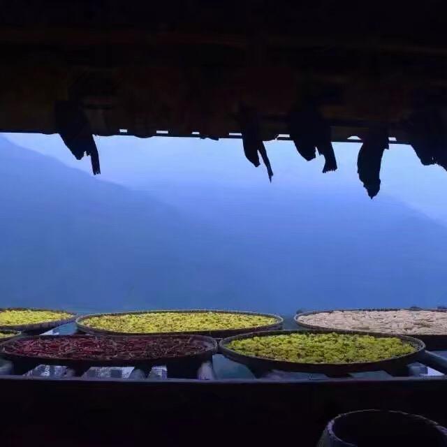 周添翊