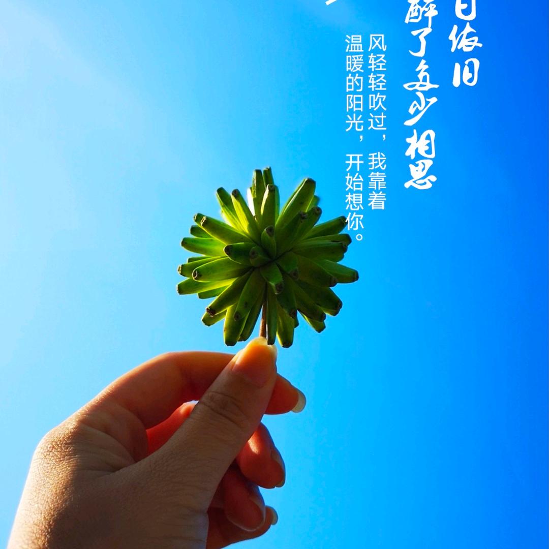 诗茵若云