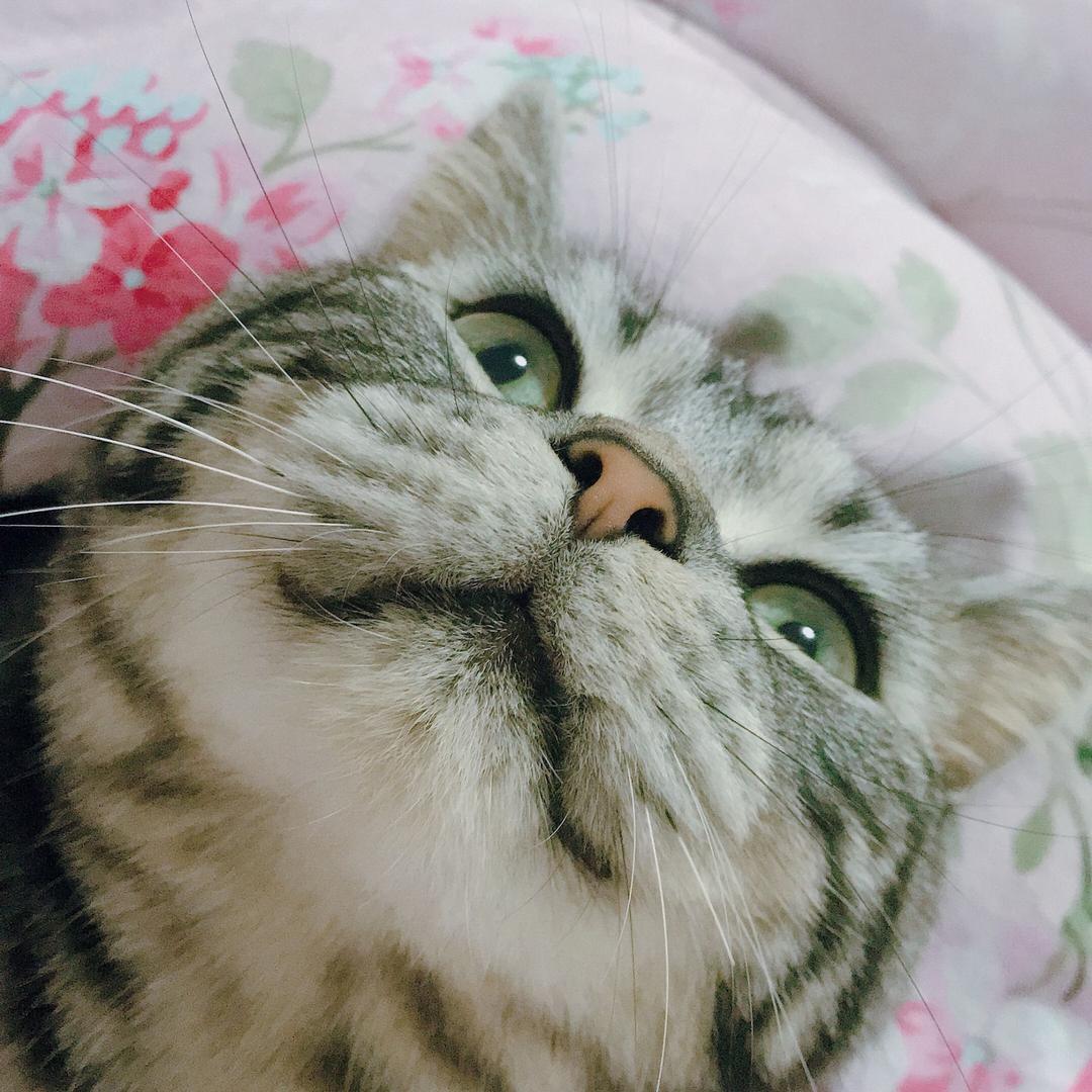🈳白
