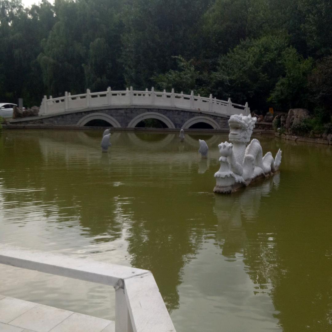智星