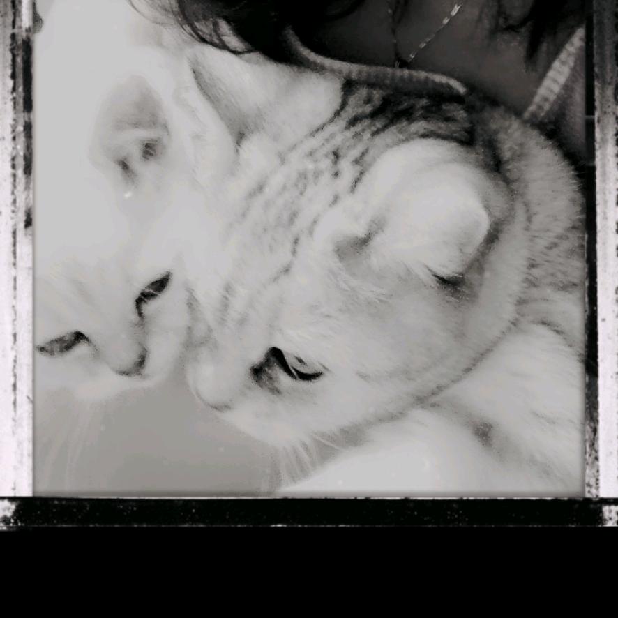 🌿云淡风轻💋