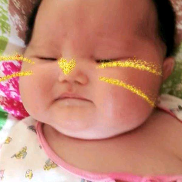 攀枝花市仁和区纸品迈巴赫