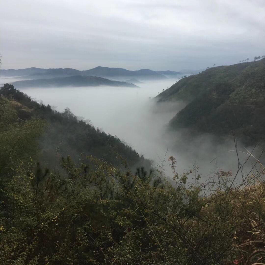 一生平安