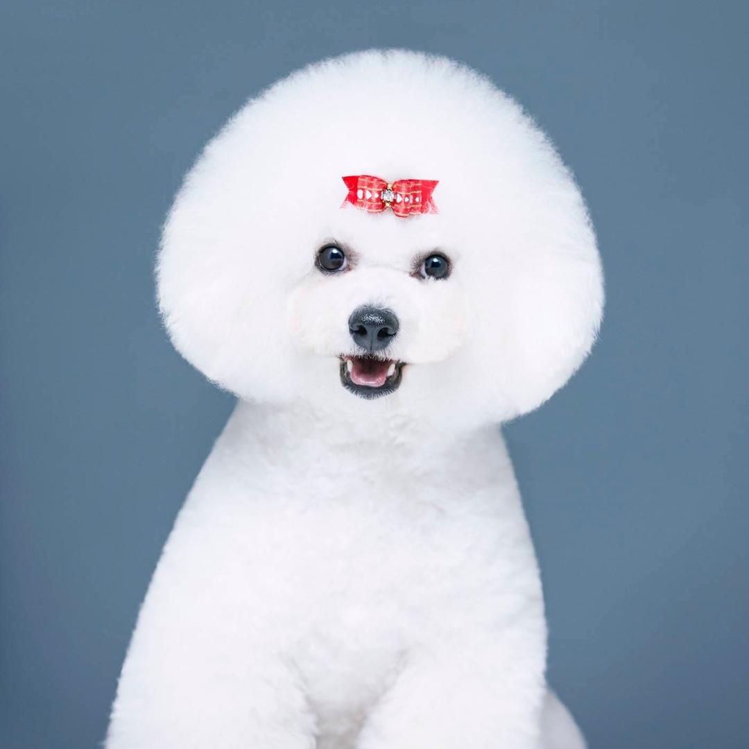 伊金霍洛旗萌宠宠物乐园