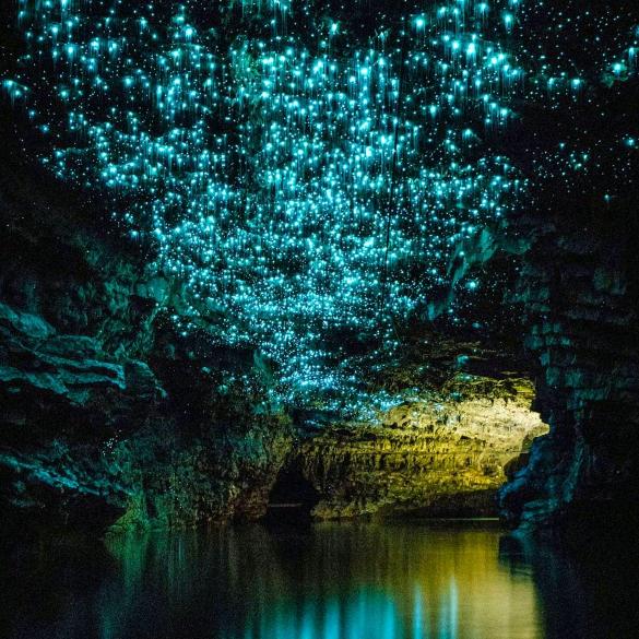 板场豪语烟酒便利欢迎您