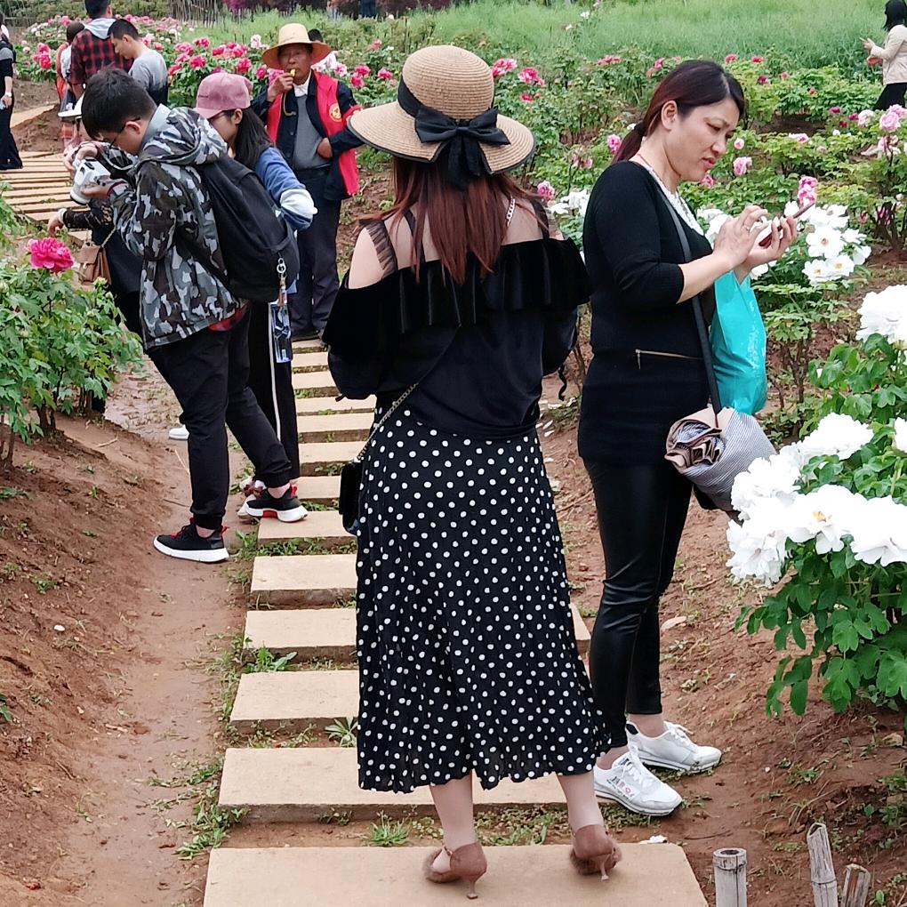 抖音！知否知否😂