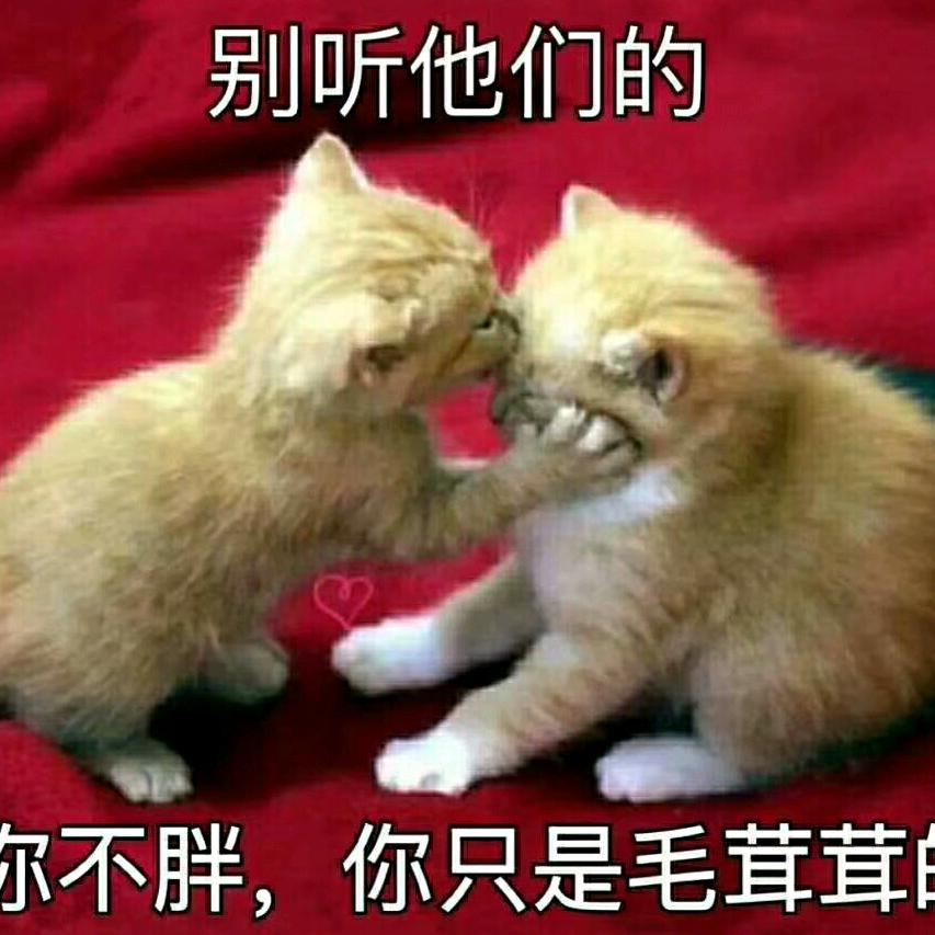 🌺开开心心💐傻大姐💗👍