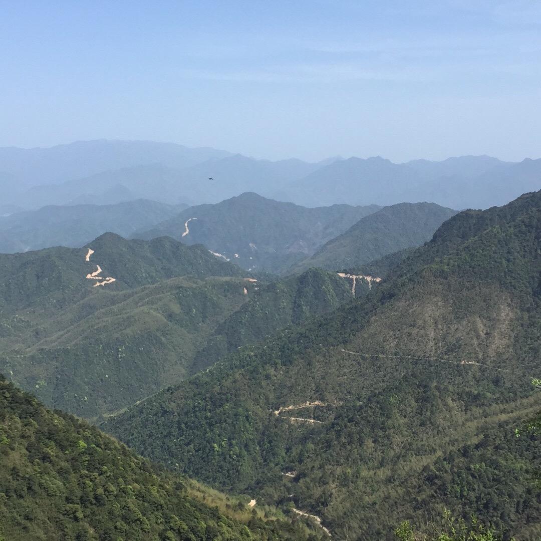 江西烟斗哥