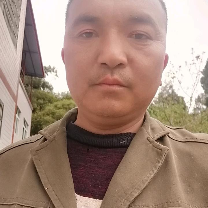 老陈