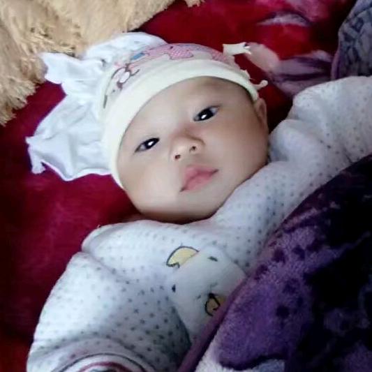 京味炸酱面    味道好极了