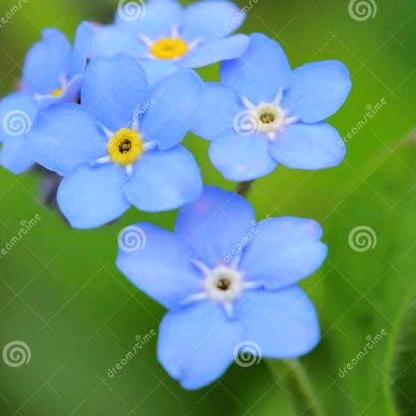 微笑是最好的语言