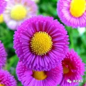 用户6326427699021开心就好