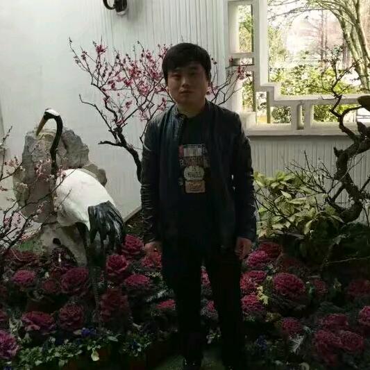 韦韦