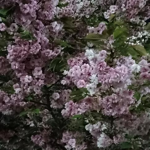 汽车配件易损件批发