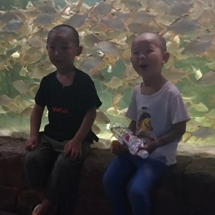 陈总