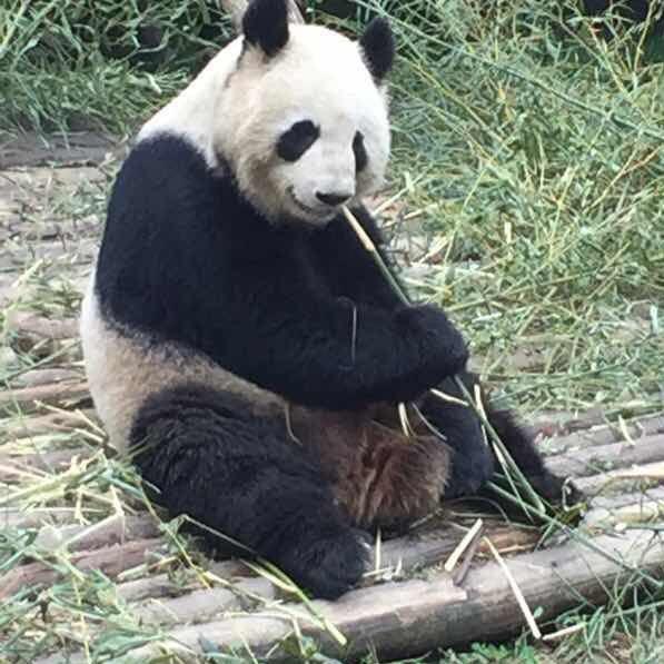 打工是不可能的