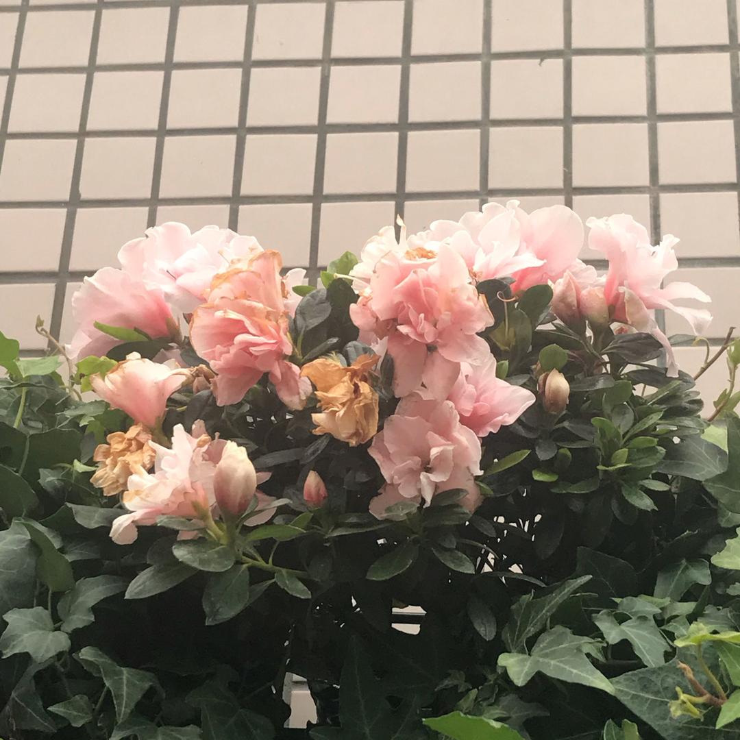 风起云涌
