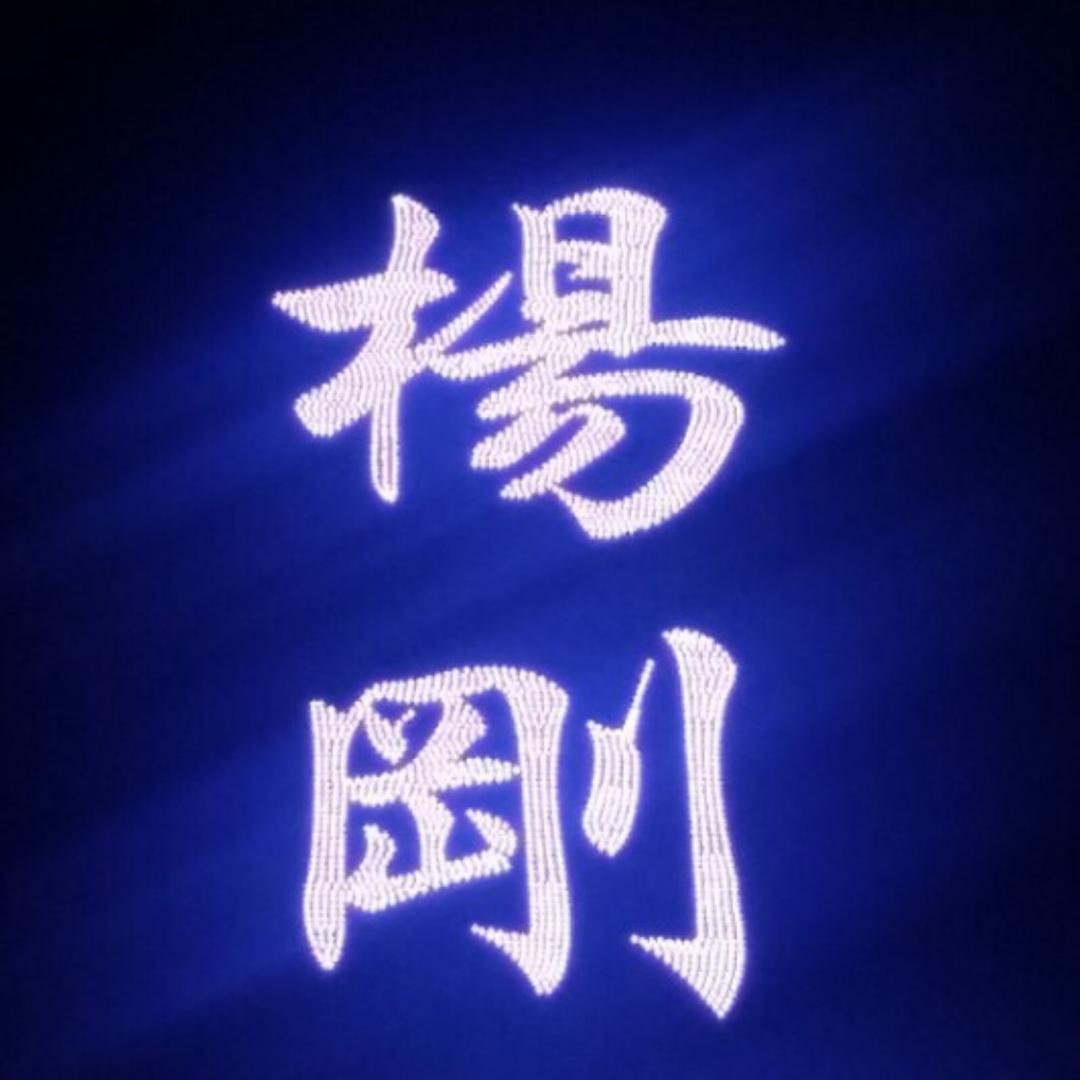 杨刚建设集团照明双甲