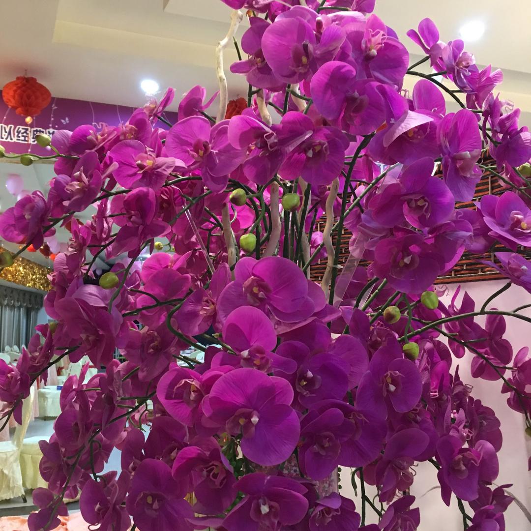 一线天