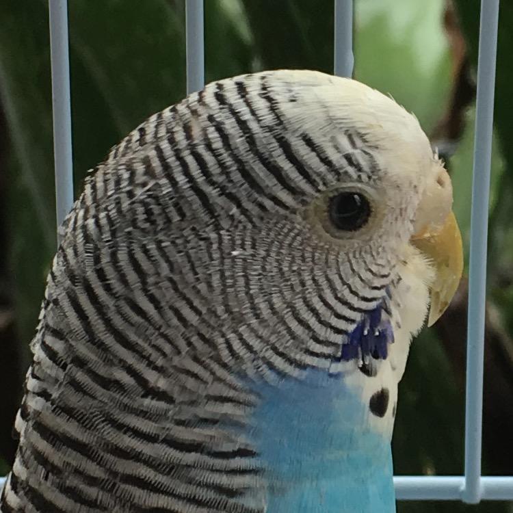 南周副食商行