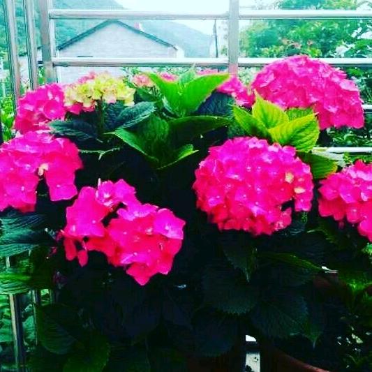 时光无声2022.1.23