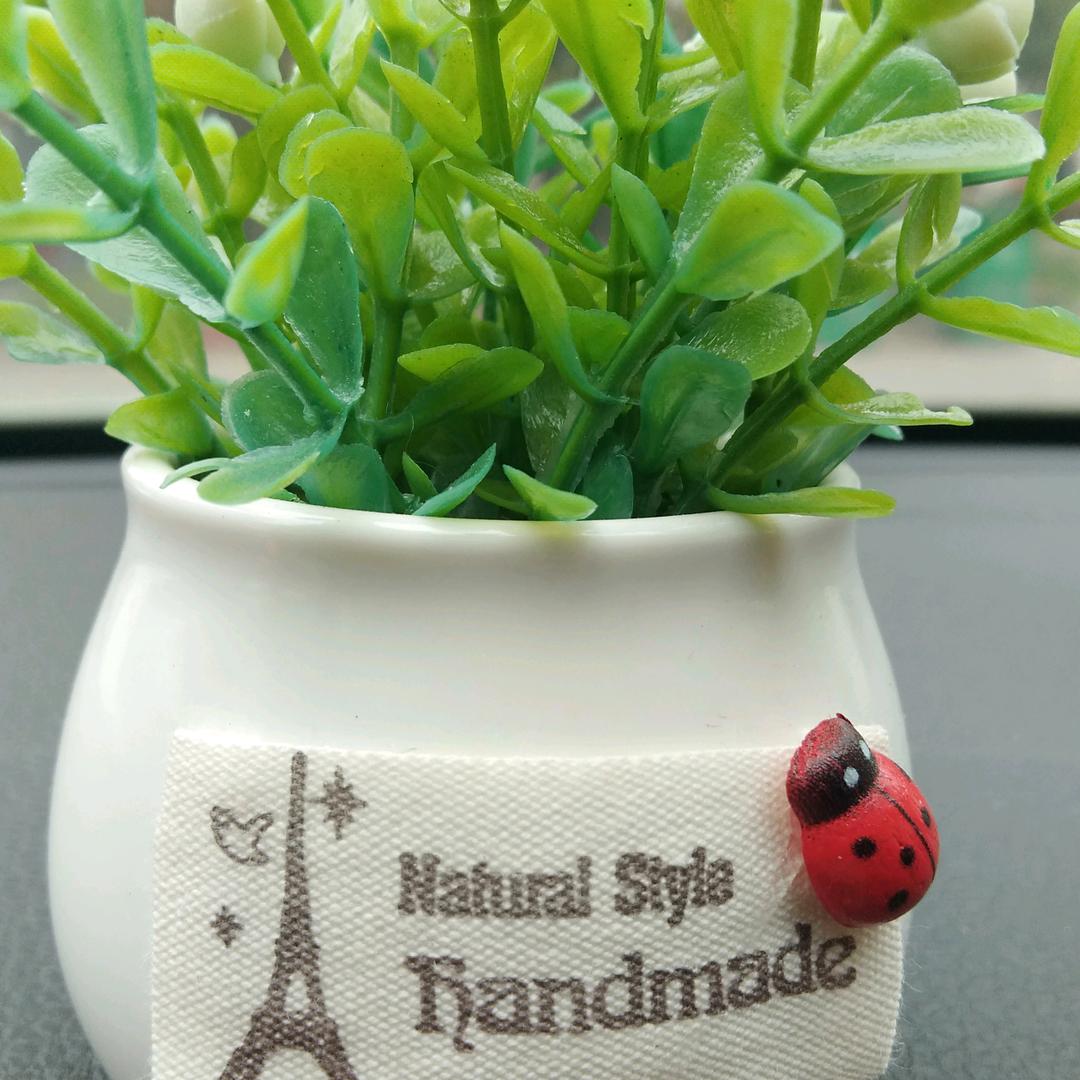 (万事皆有可能)