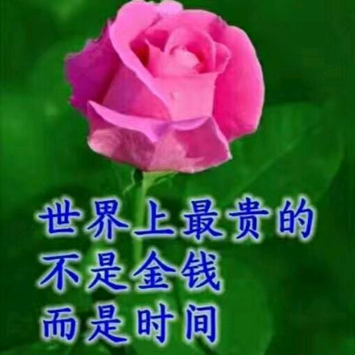 阳光总在风雨后