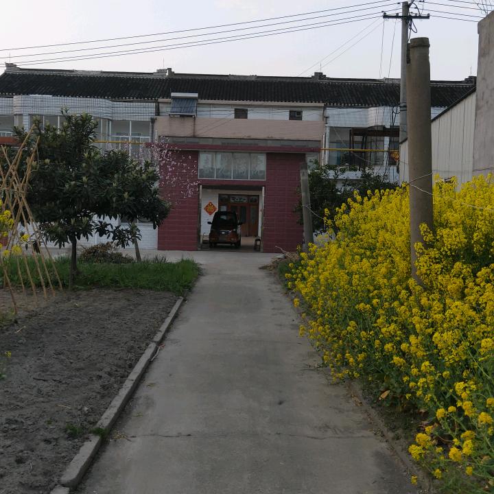 陈建军