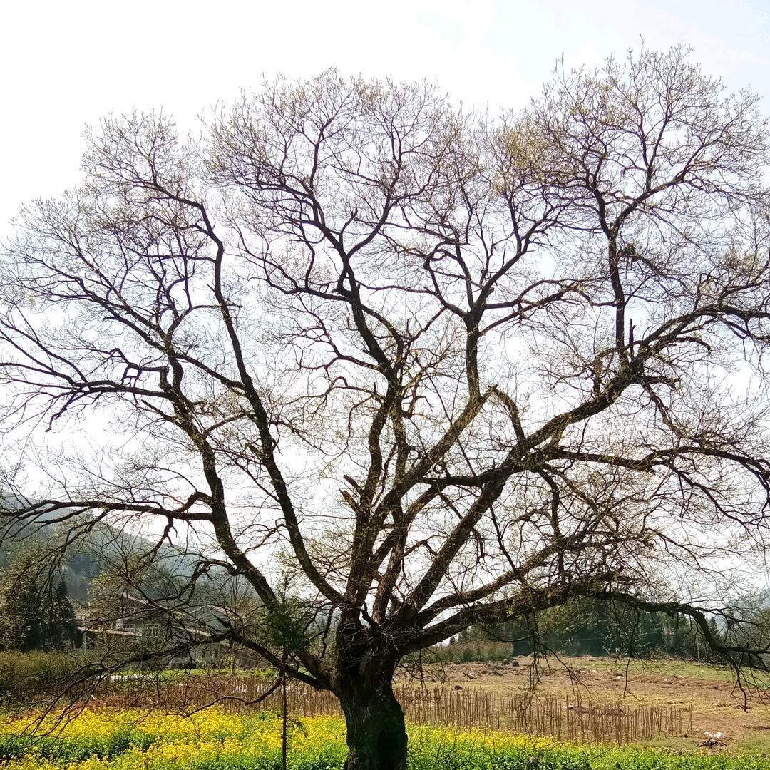 健康 平安 幸福 快乐