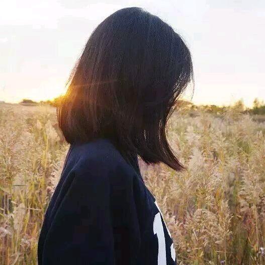 蜀葵
