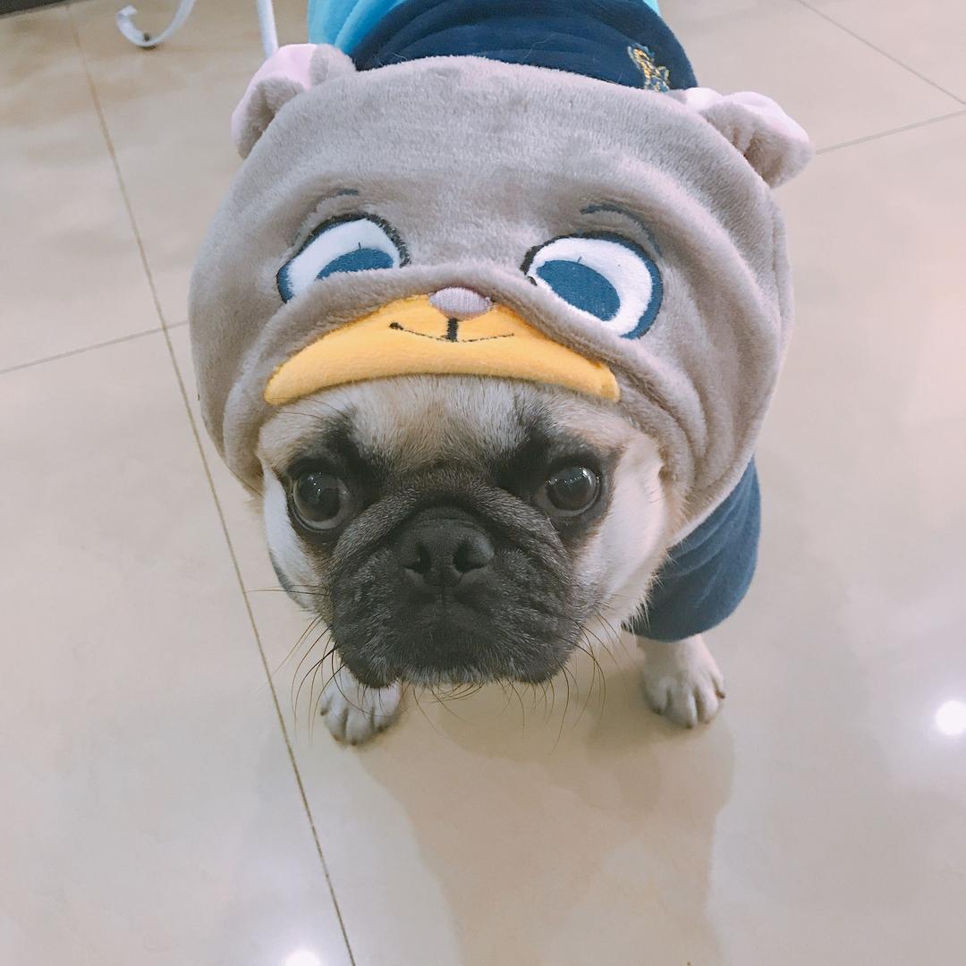 荔枝小团子