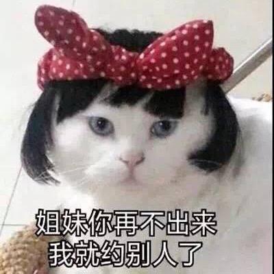 小逸兒