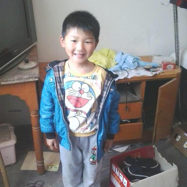 琴