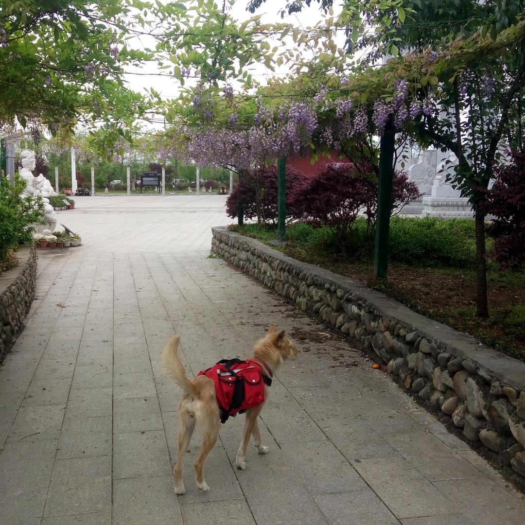 春暖花开