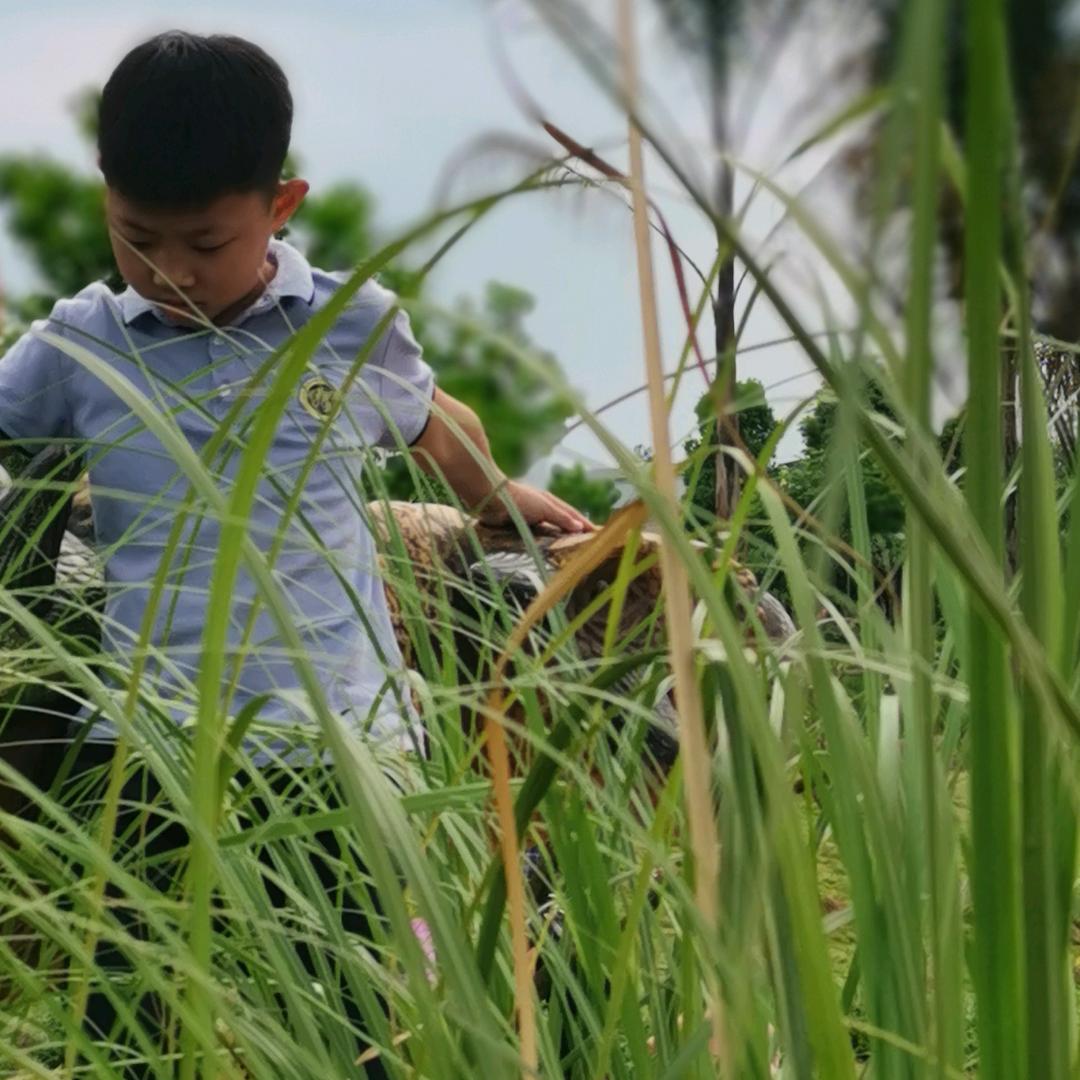 成都沂凡化工有限公司
