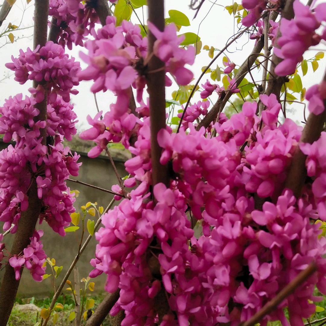 —じ☆ve緈諨そ