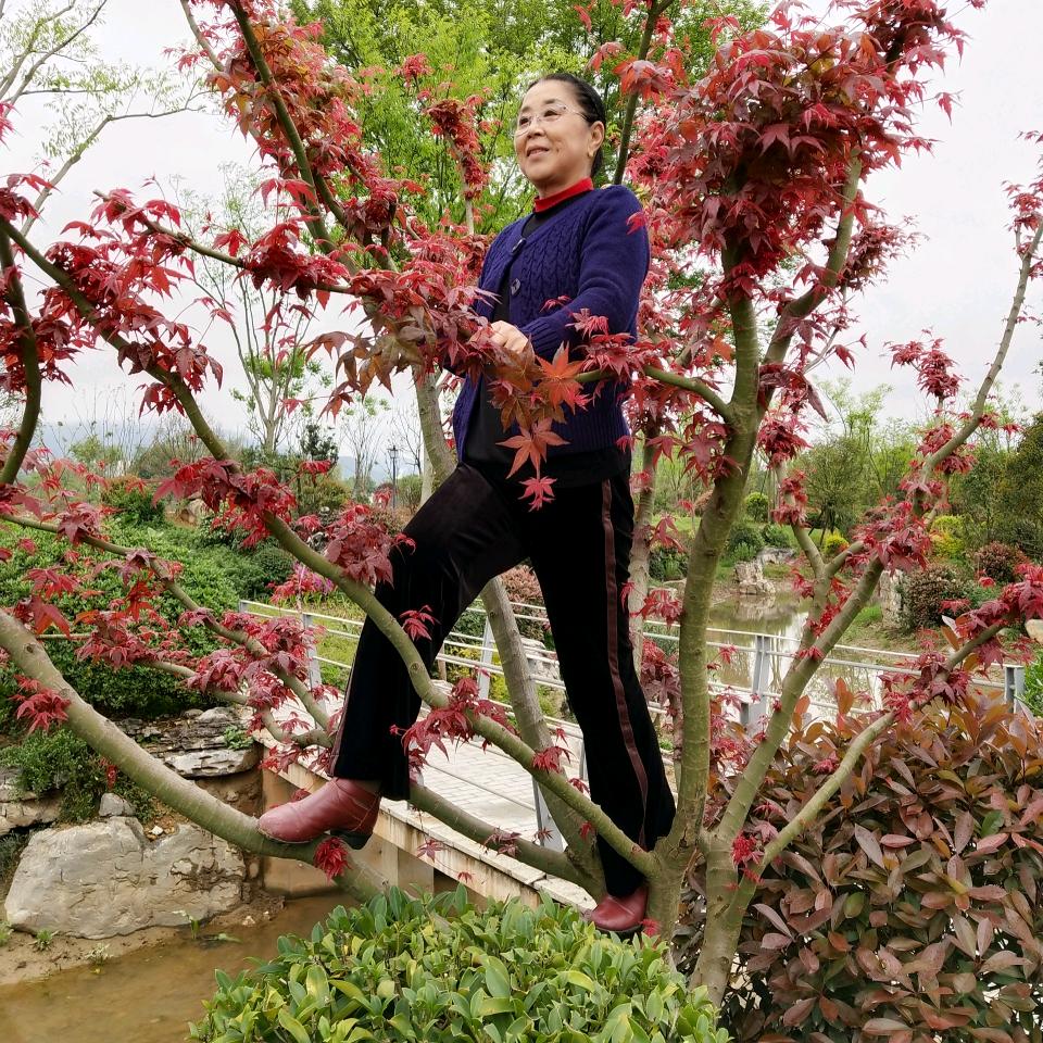 高兴如意